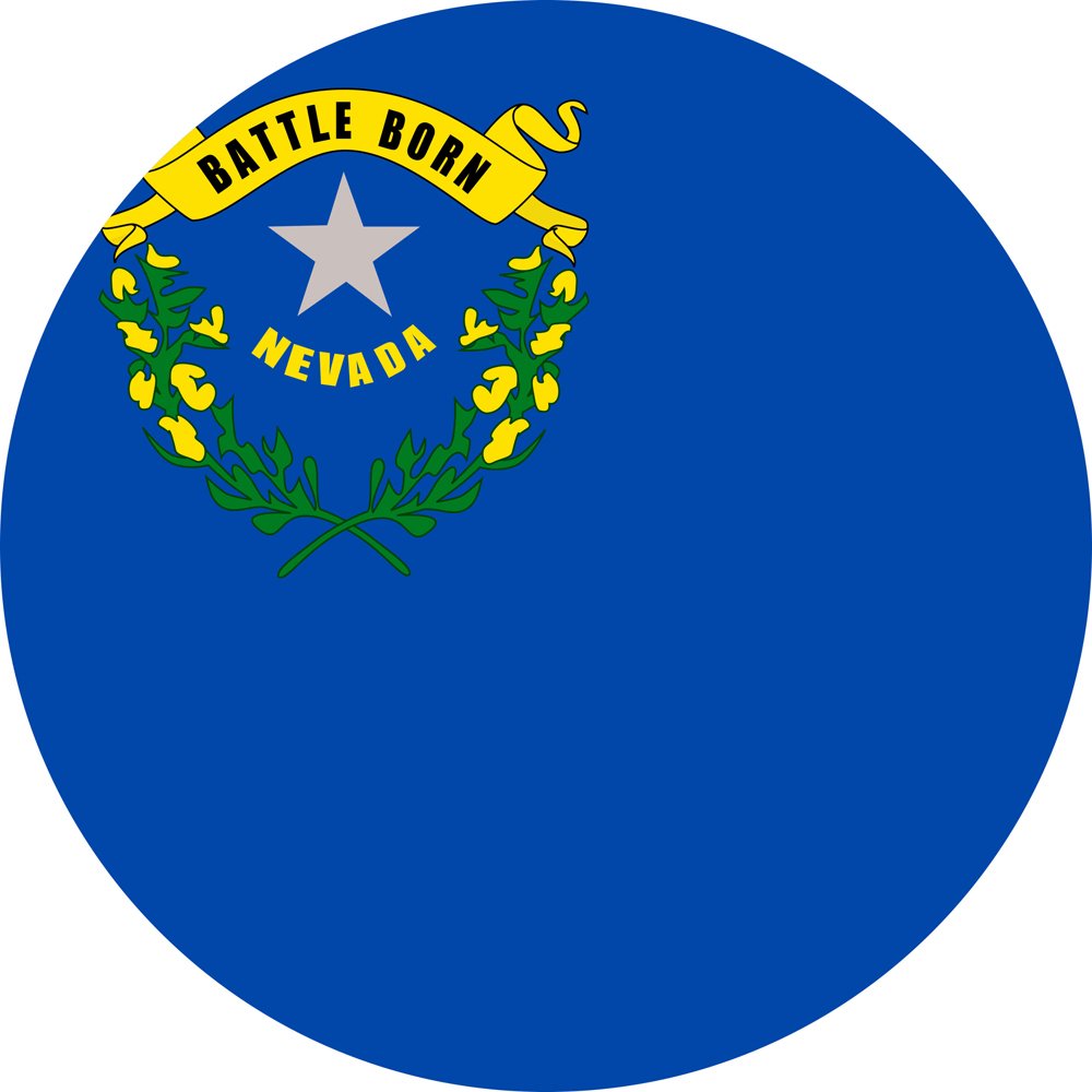 Nevada state flag - MedStats Billing medical billing services in Nevada
